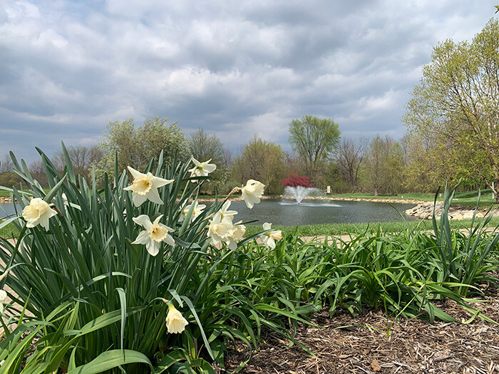 2A26213F-5214-48C8-B246-0180E43C4CAA (1)