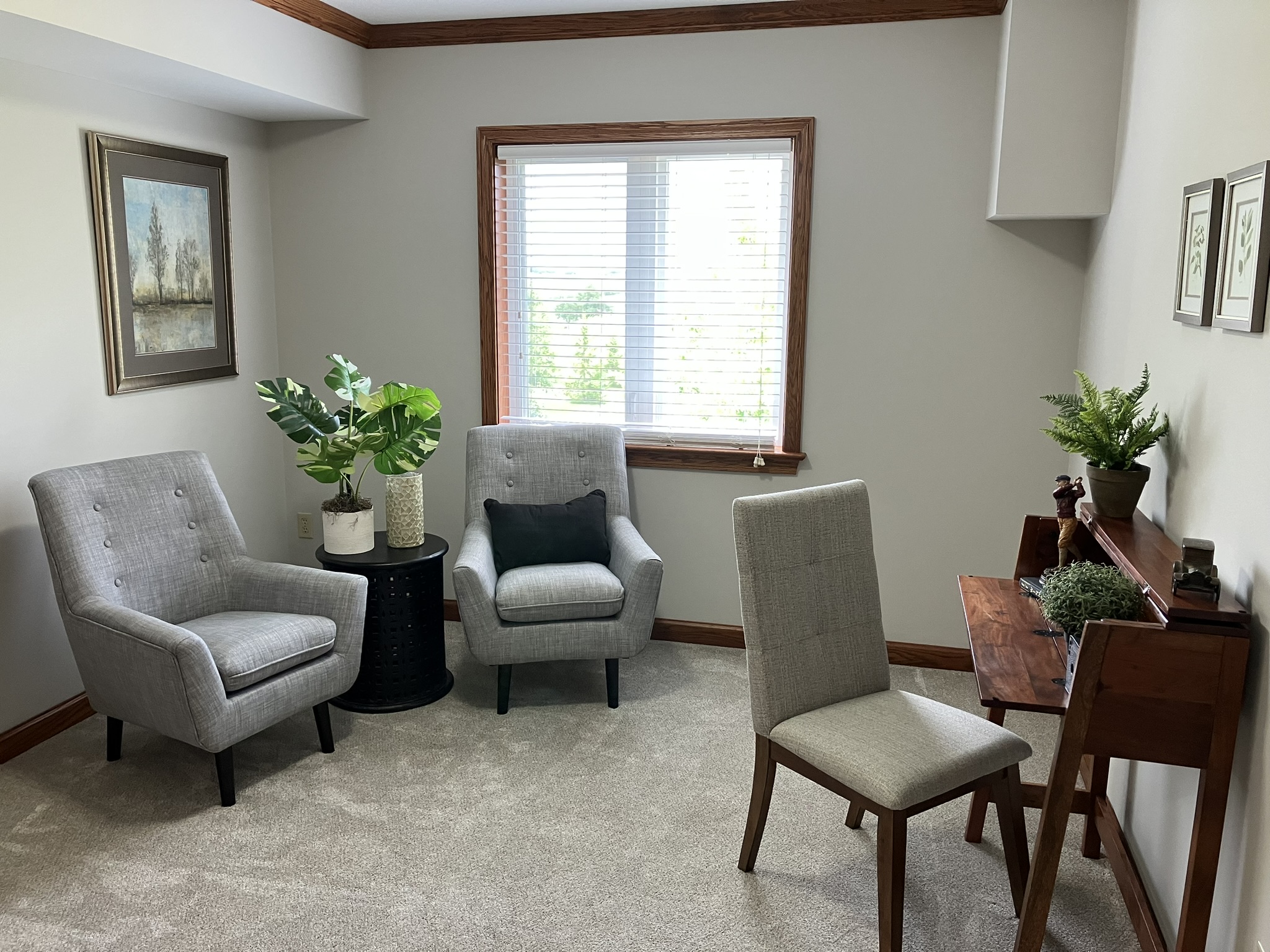 Guest bedroom or den